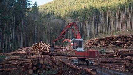 1.63亿美元!加拿大木材巨头Resolute收购美国木材工厂